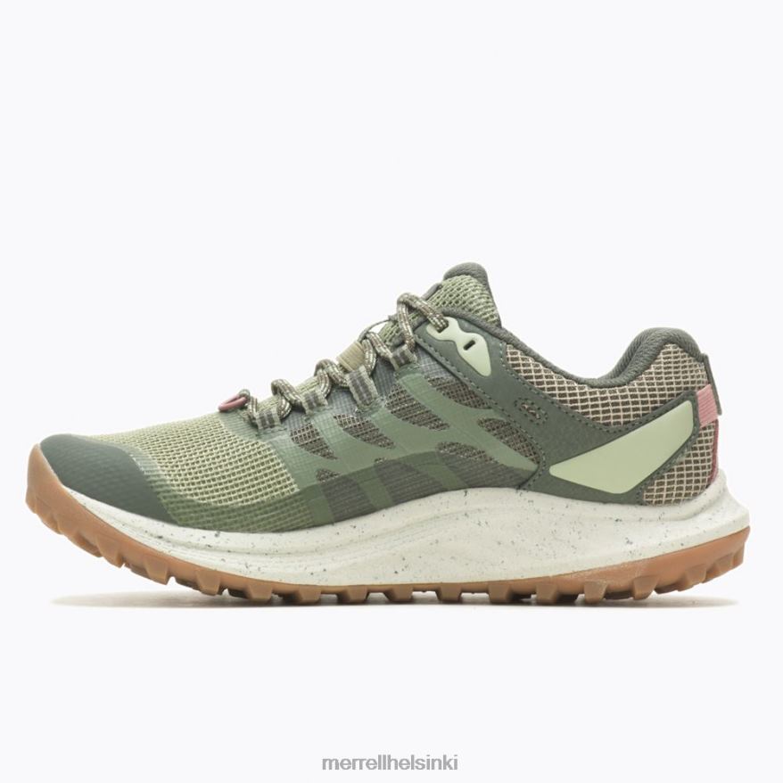 antora 3 gore-tex (j067568) 20R00821 jäkälä Merrell